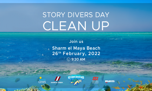 Our first day as Story Divers